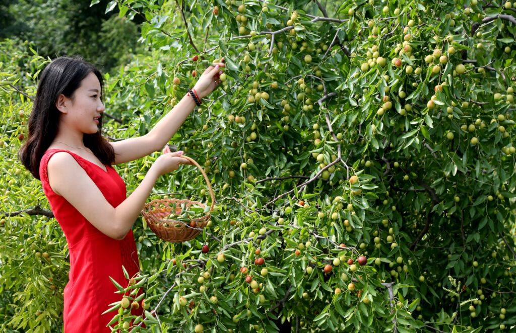 ���ֹ���F66��(�й���)�ٷ���վ