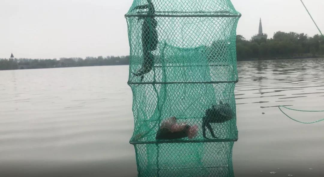 ���ֹ���F66��(�й���)�ٷ���վ