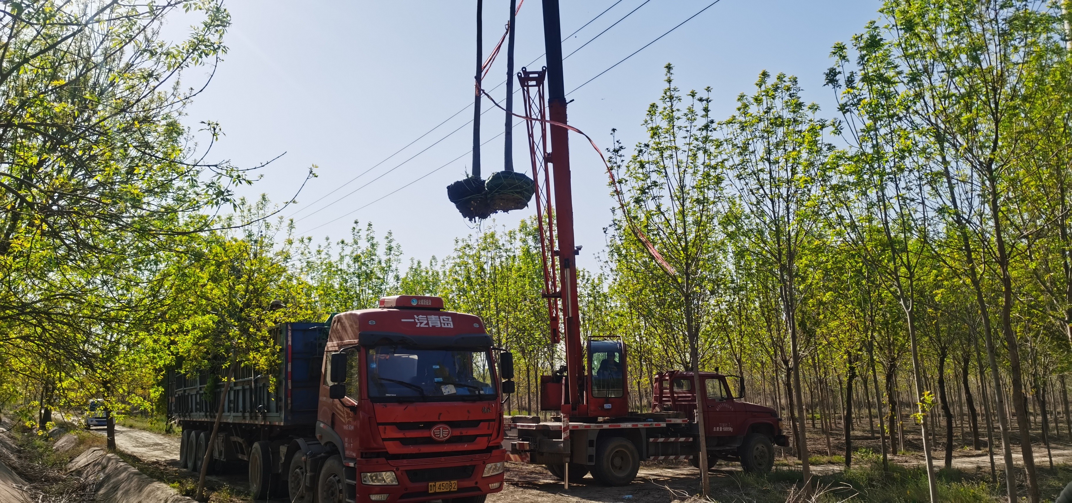 ���ֹ���F66��(�й���)�ٷ���վ