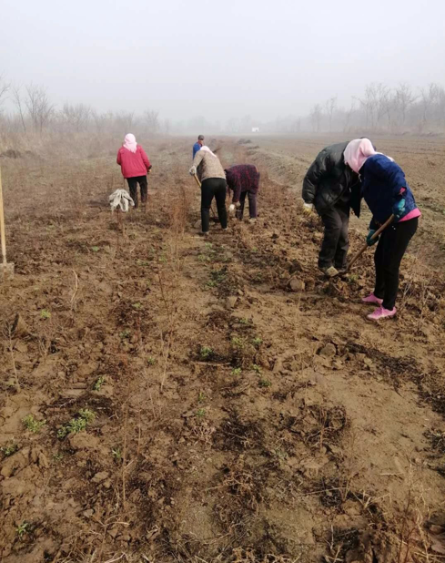 ���ֹ���F66��(�й���)�ٷ���վ