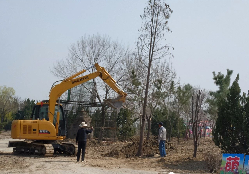 ���ֹ���F66��(�й���)�ٷ���վ