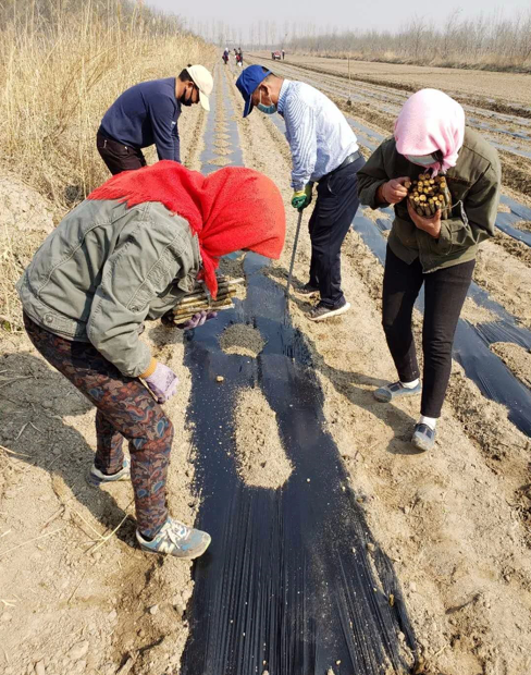 ���ֹ���F66��(�й���)�ٷ���վ