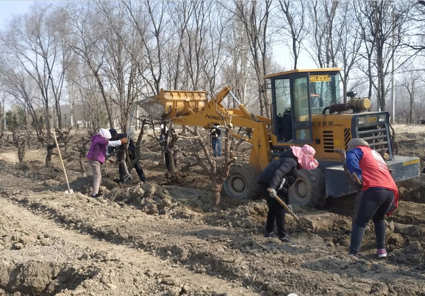 ���ֹ���F66��(�й���)�ٷ���վ