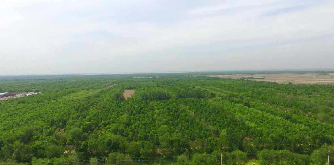 永乐国际F66·(中国游)官方网站