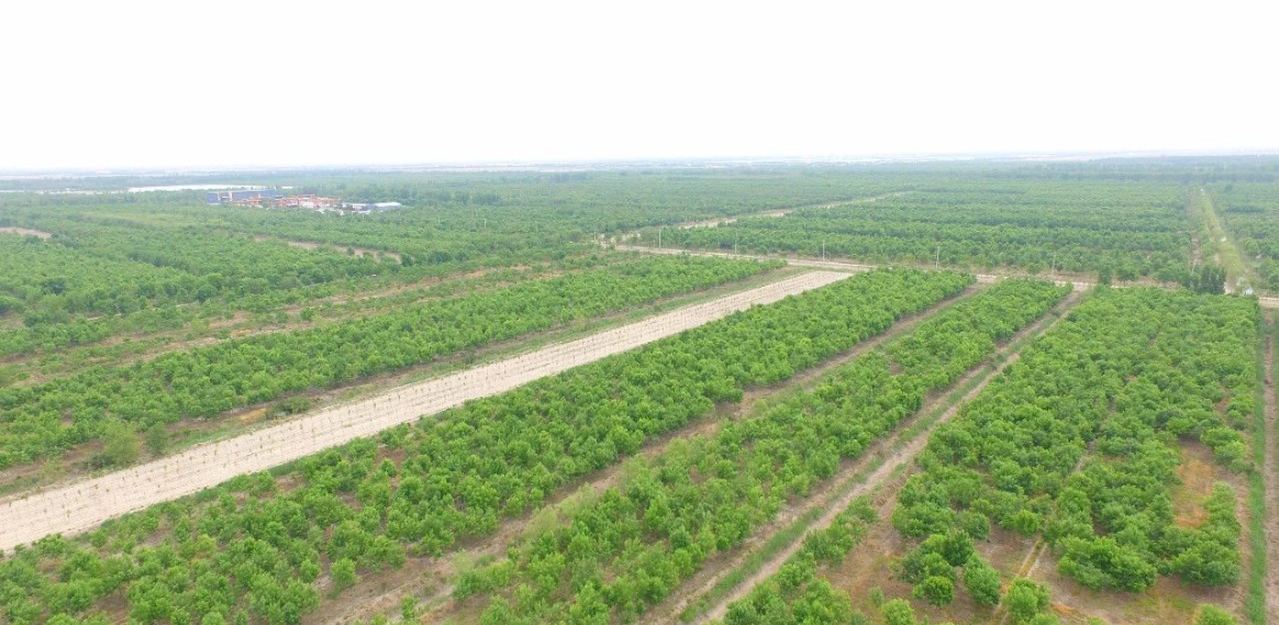 永乐国际F66·(中国游)官方网站