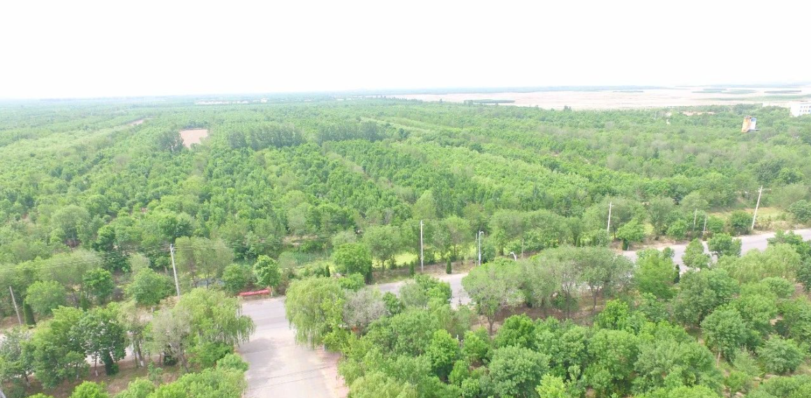 永乐国际F66·(中国游)官方网站