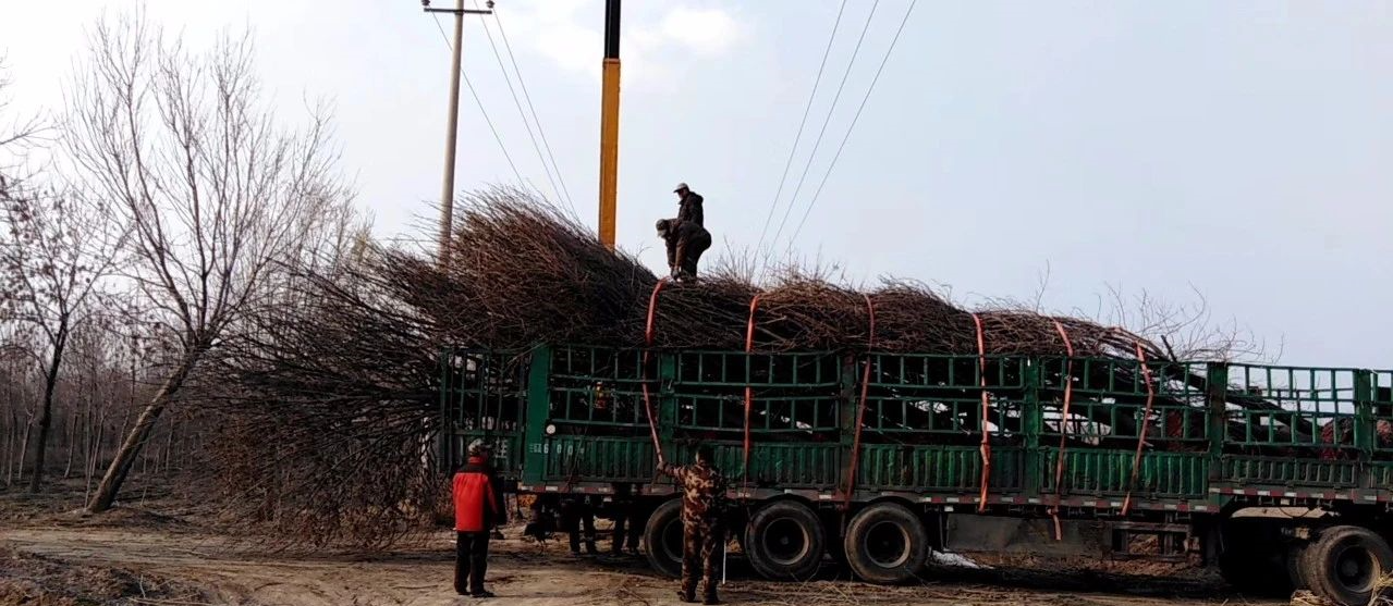 永乐国际F66·(中国游)官方网站