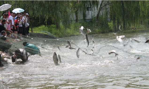 ���ֹ���F66��(�й���)�ٷ���վ