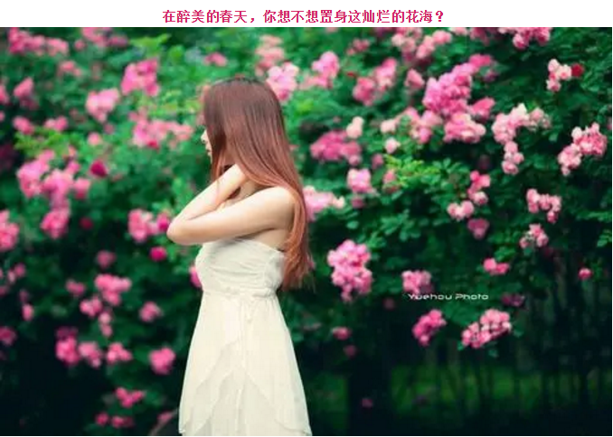 ���ֹ���F66��(�й���)�ٷ���վ