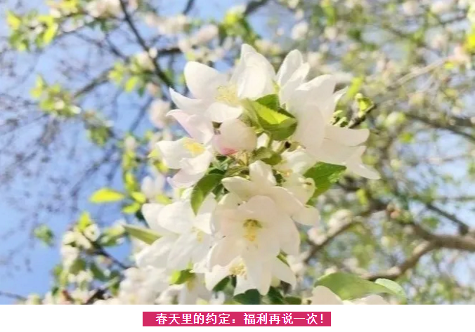 ���ֹ���F66��(�й���)�ٷ���վ