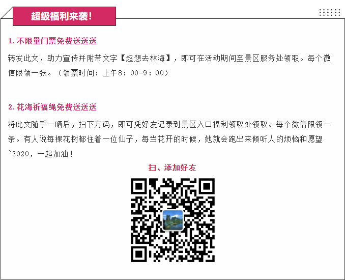 ���ֹ���F66��(�й���)�ٷ���վ