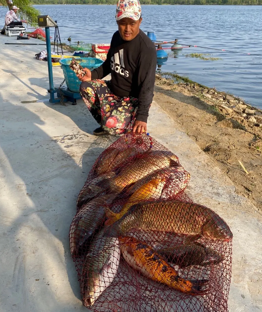 ���ֹ���F66��(�й���)�ٷ���վ