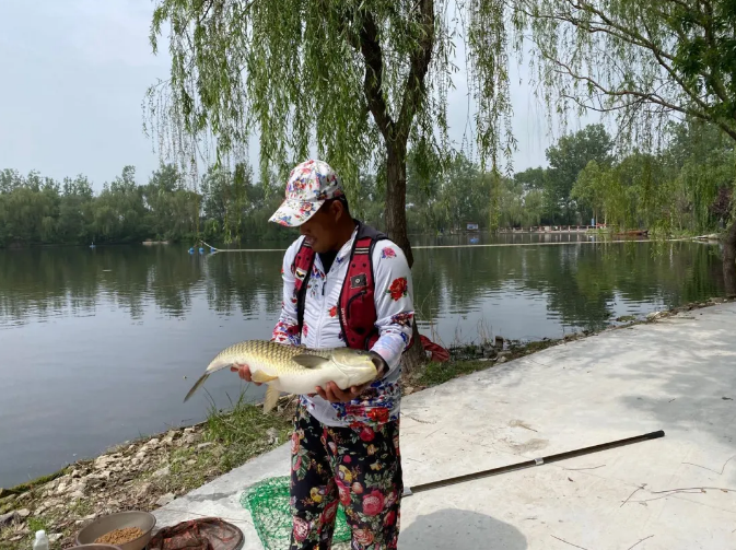 ���ֹ���F66��(�й���)�ٷ���վ