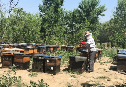 ���ֹ���F66��(�й���)�ٷ���վ