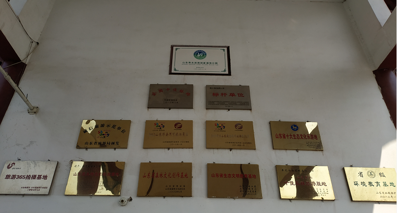 ���ֹ���F66��(�й���)�ٷ���վ