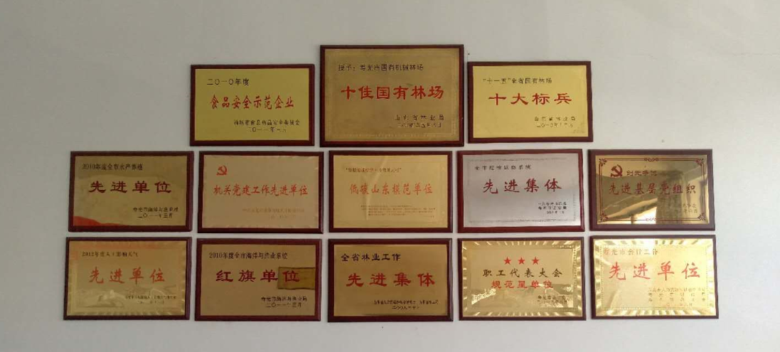 ���ֹ���F66��(�й���)�ٷ���վ