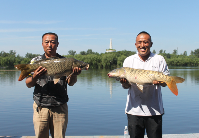 ���ֹ���F66��(�й���)�ٷ���վ