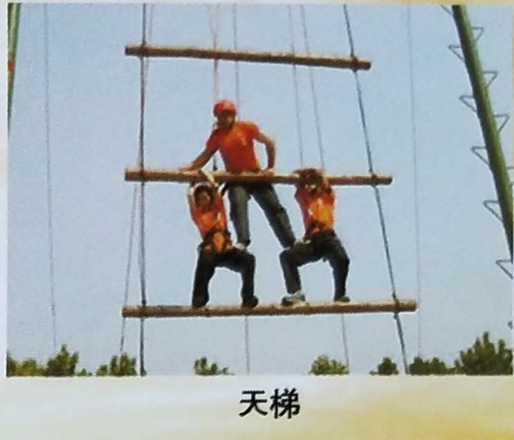 ���ֹ���F66��(�й���)�ٷ���վ