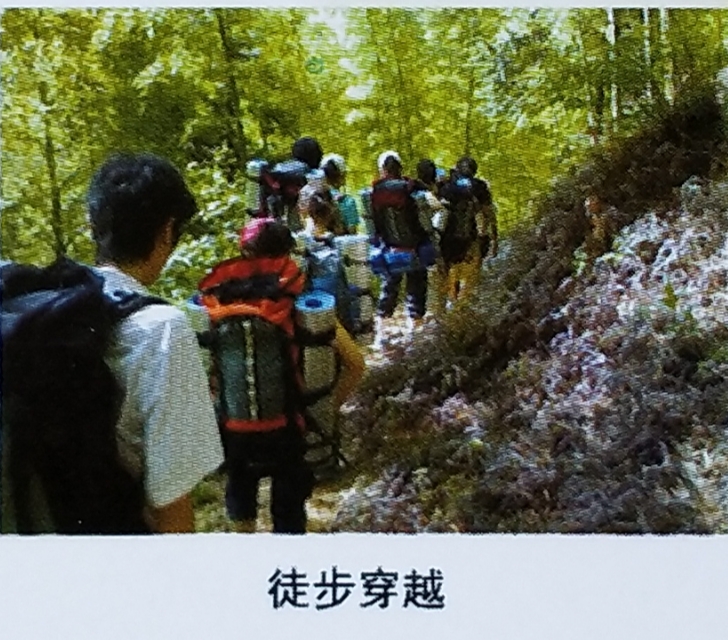 ���ֹ���F66��(�й���)�ٷ���վ