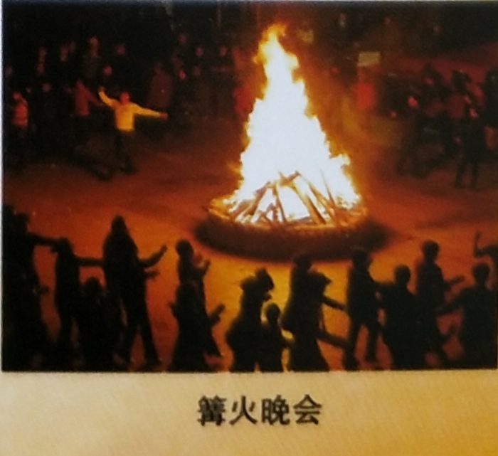 ���ֹ���F66��(�й���)�ٷ���վ