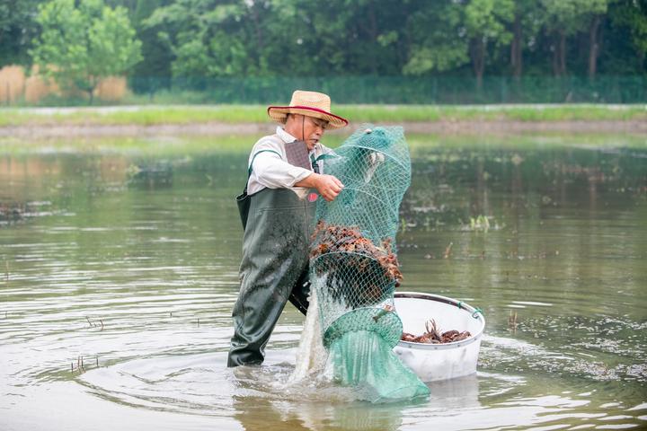 ���ֹ���F66��(�й���)�ٷ���վ