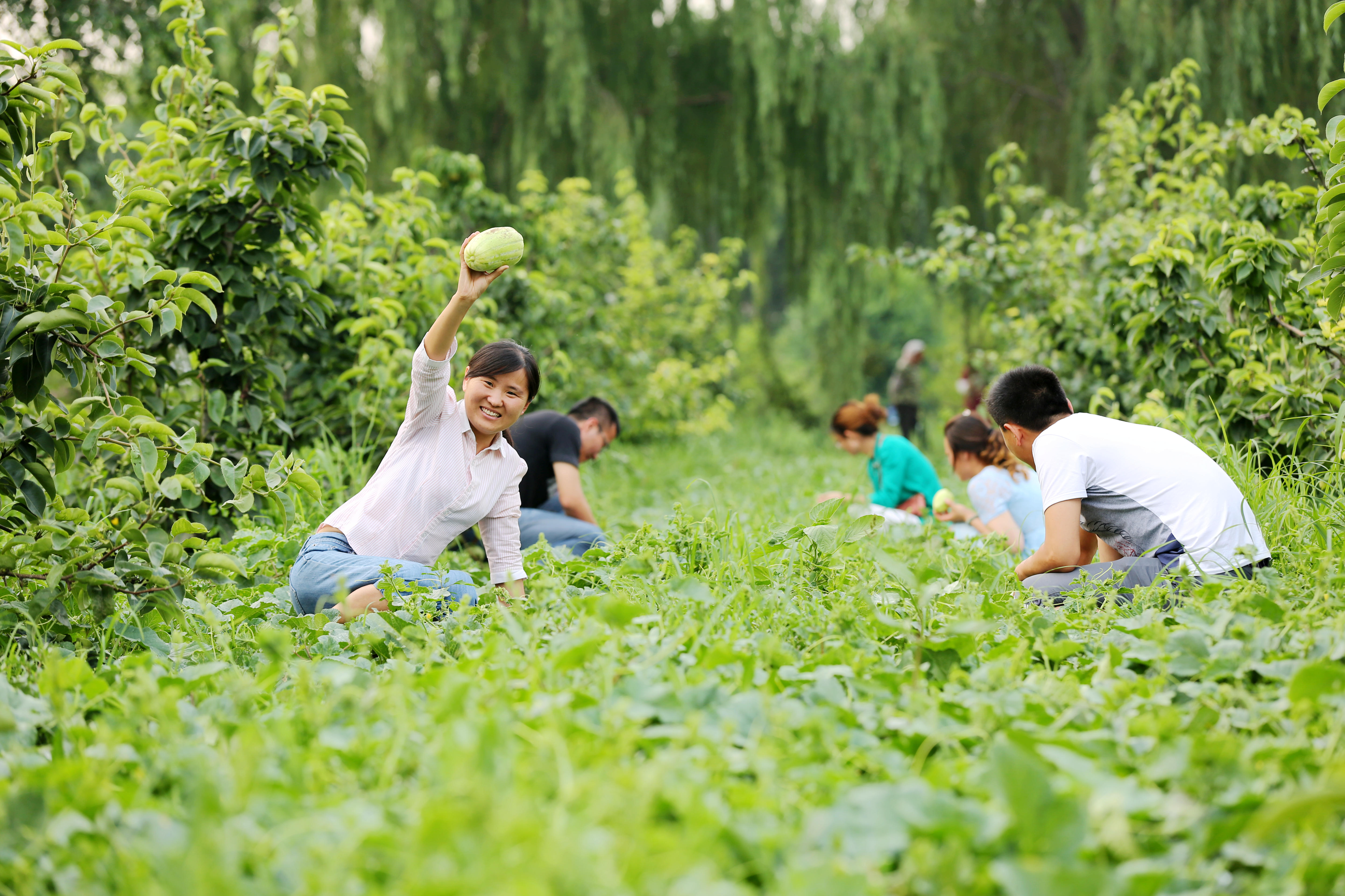 ���ֹ���F66��(�й���)�ٷ���վ