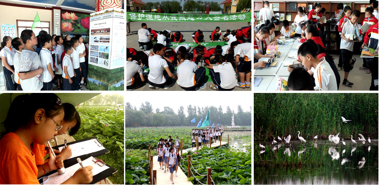 ���ֹ���F66��(�й���)�ٷ���վ