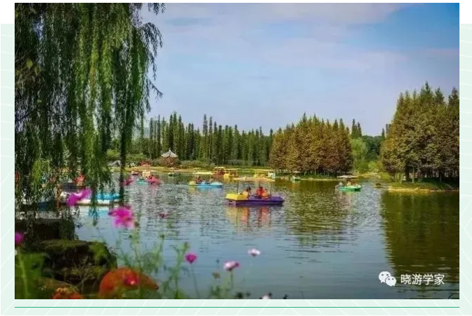 ���ֹ���F66��(�й���)�ٷ���վ