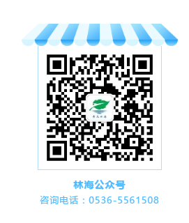 ���ֹ���F66��(�й���)�ٷ���վ