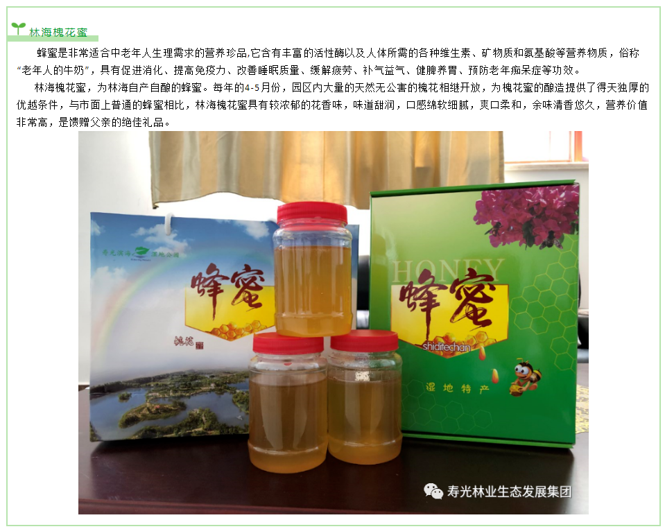 永乐国际F66·(中国游)官方网站