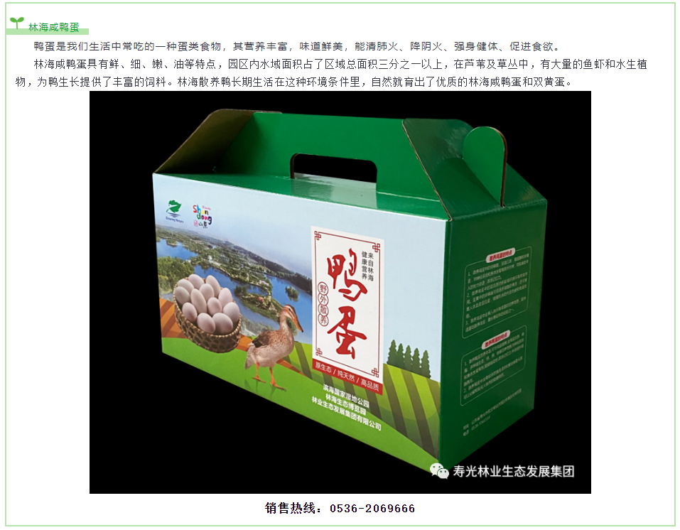 永乐国际F66·(中国游)官方网站