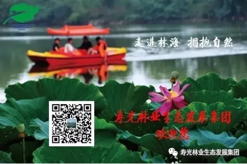 ���ֹ���F66��(�й���)�ٷ���վ