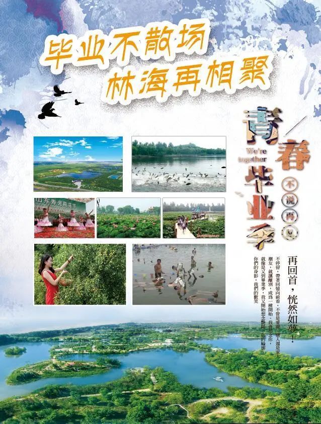 ���ֹ���F66��(�й���)�ٷ���վ