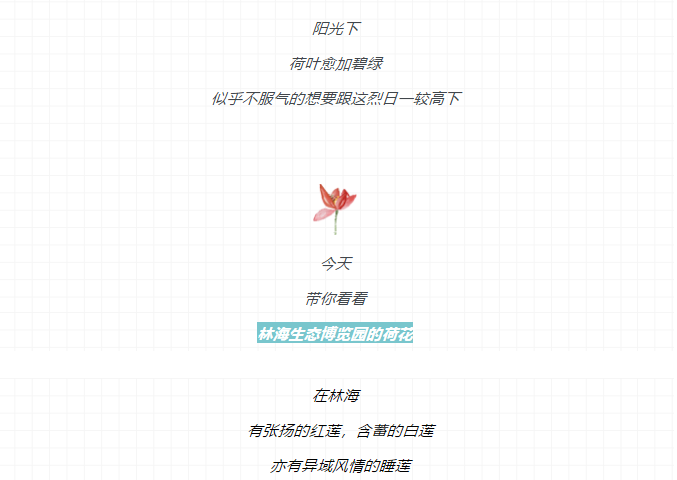 ���ֹ���F66��(�й���)�ٷ���վ