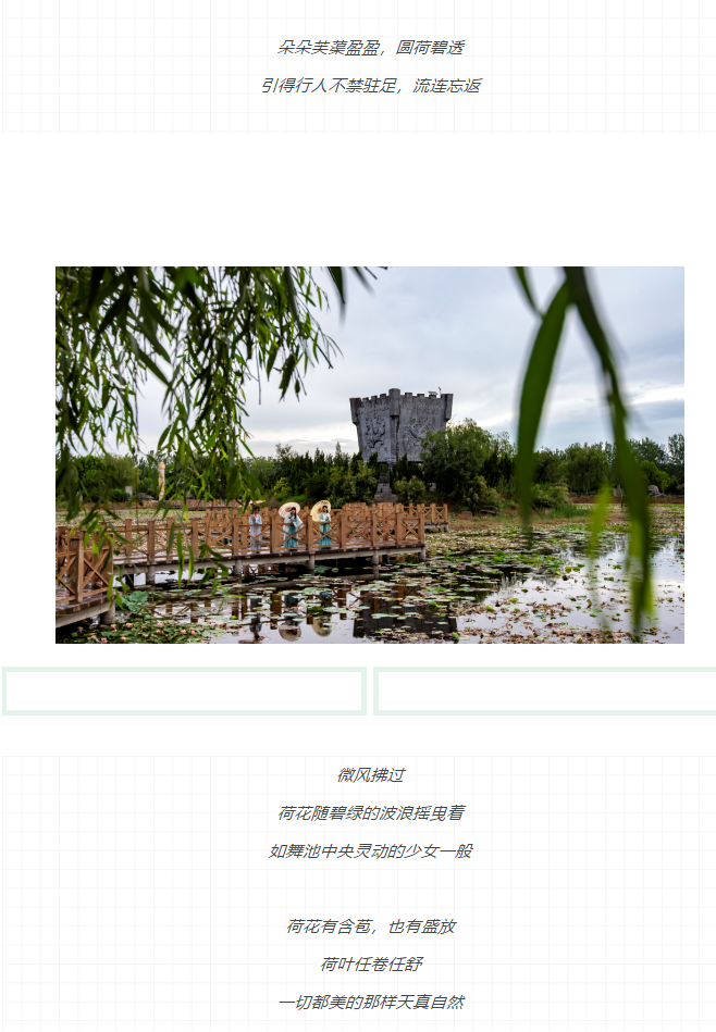 ���ֹ���F66��(�й���)�ٷ���վ