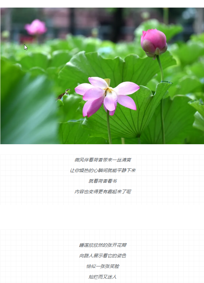 ���ֹ���F66��(�й���)�ٷ���վ