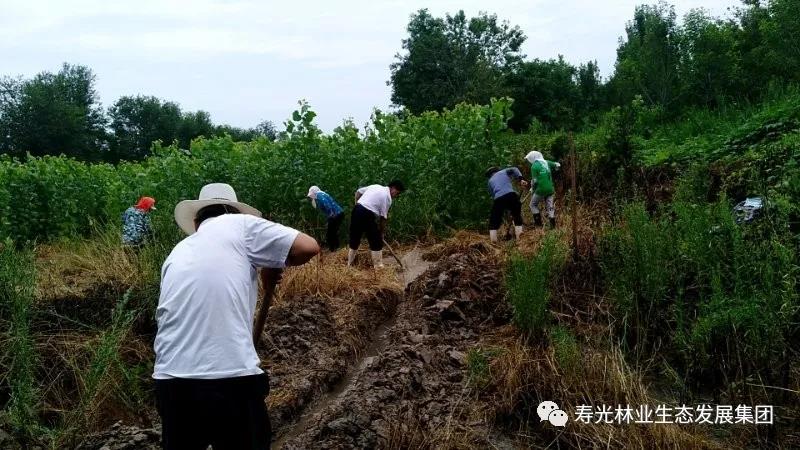 ���ֹ���F66��(�й���)�ٷ���վ