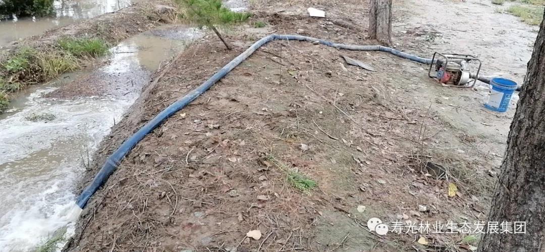 ���ֹ���F66��(�й���)�ٷ���վ