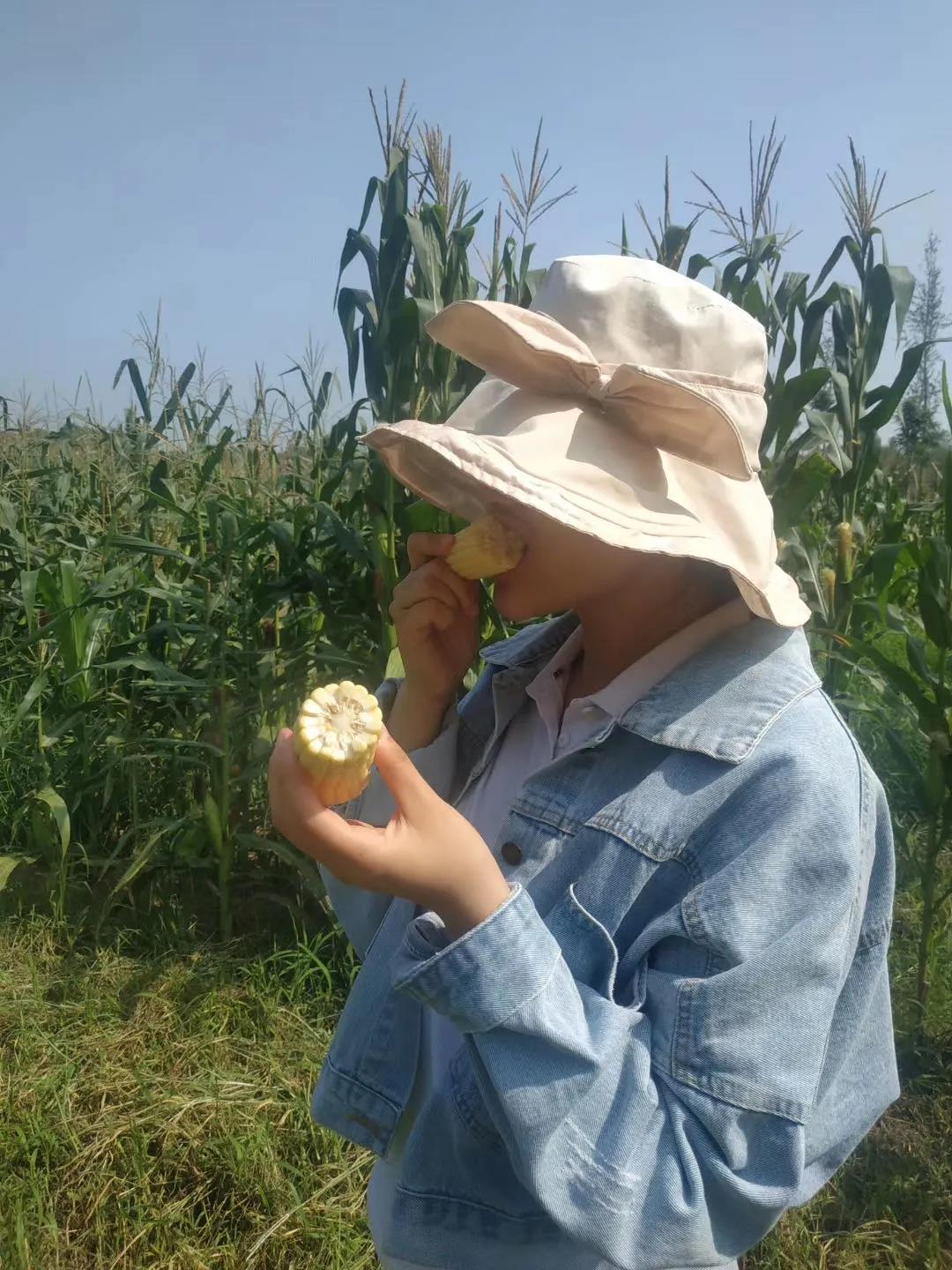 ���ֹ���F66��(�й���)�ٷ���վ