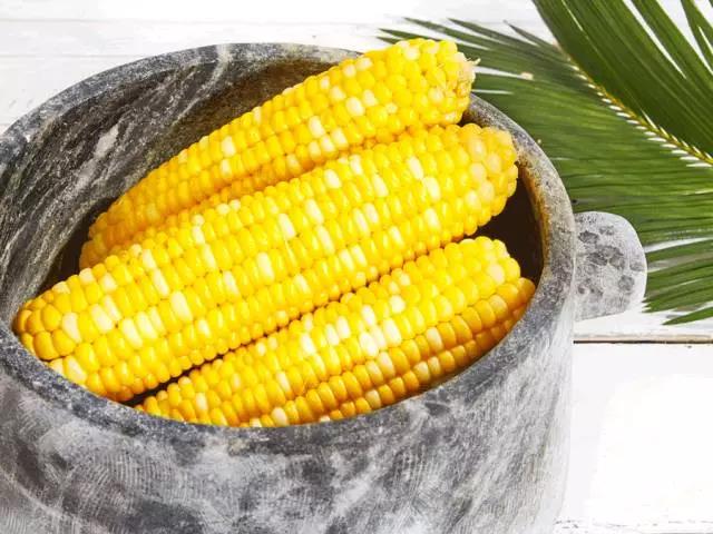 ���ֹ���F66��(�й���)�ٷ���վ