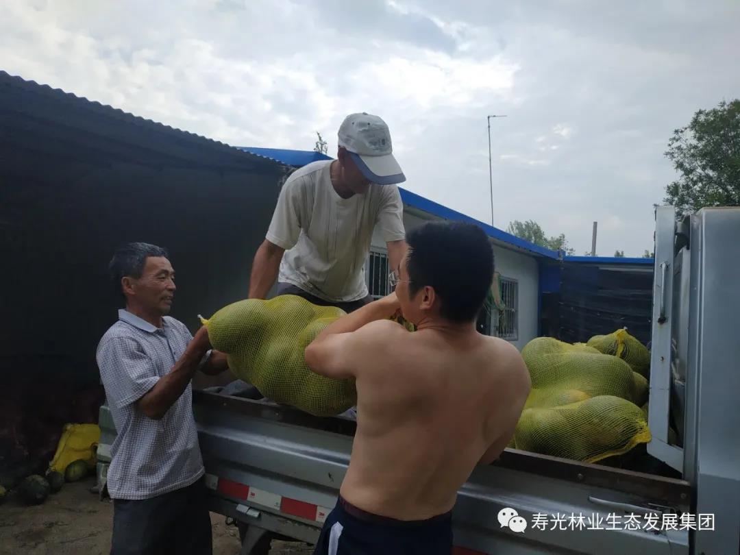 ���ֹ���F66��(�й���)�ٷ���վ