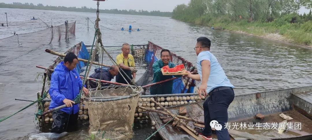 ���ֹ���F66��(�й���)�ٷ���վ