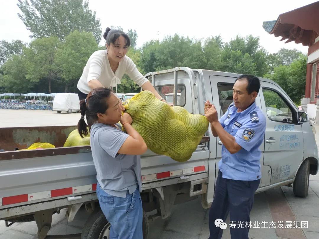 ���ֹ���F66��(�й���)�ٷ���վ