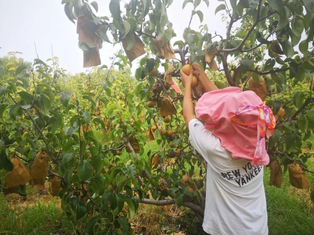 ���ֹ���F66��(�й���)�ٷ���վ