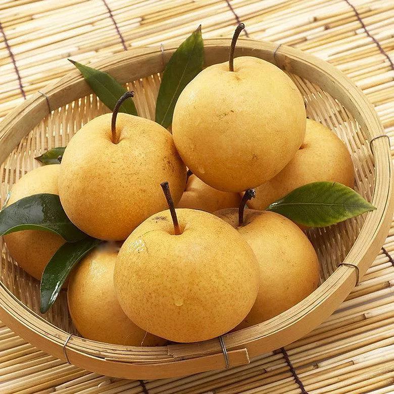 ���ֹ���F66��(�й���)�ٷ���վ