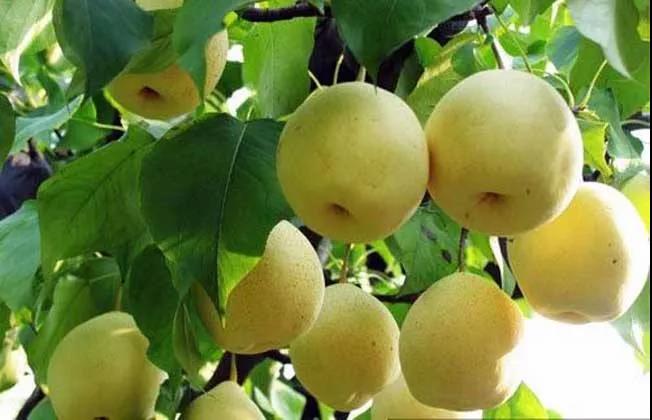 ���ֹ���F66��(�й���)�ٷ���վ