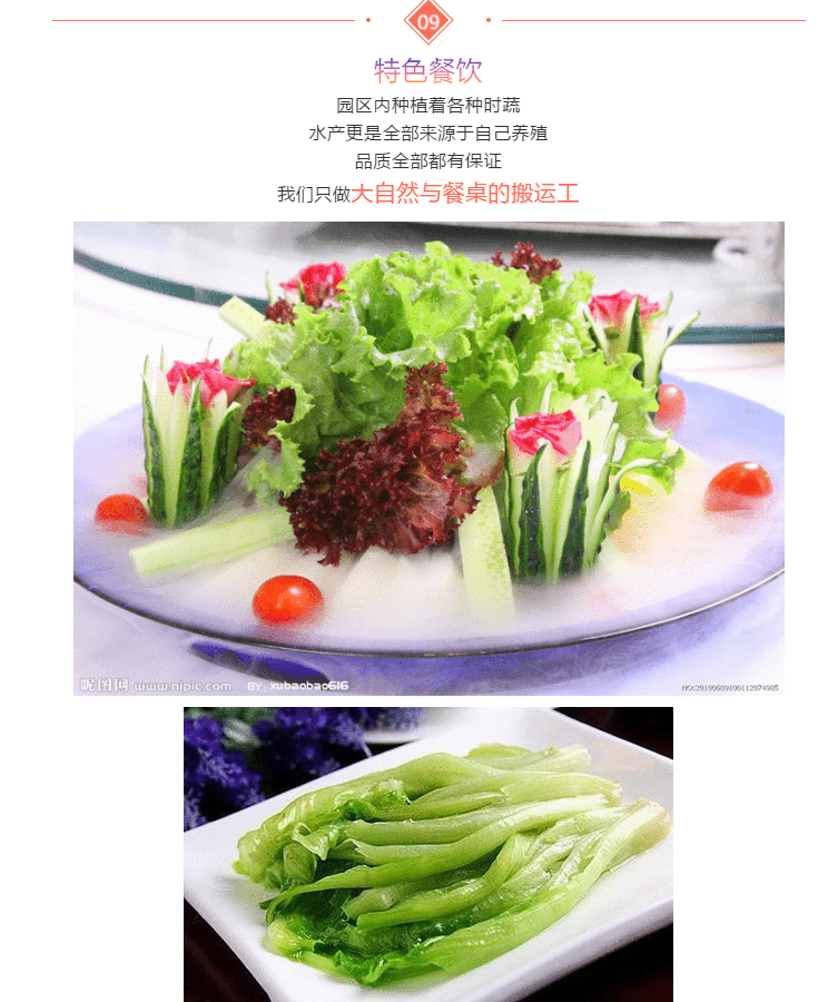 ���ֹ���F66��(�й���)�ٷ���վ