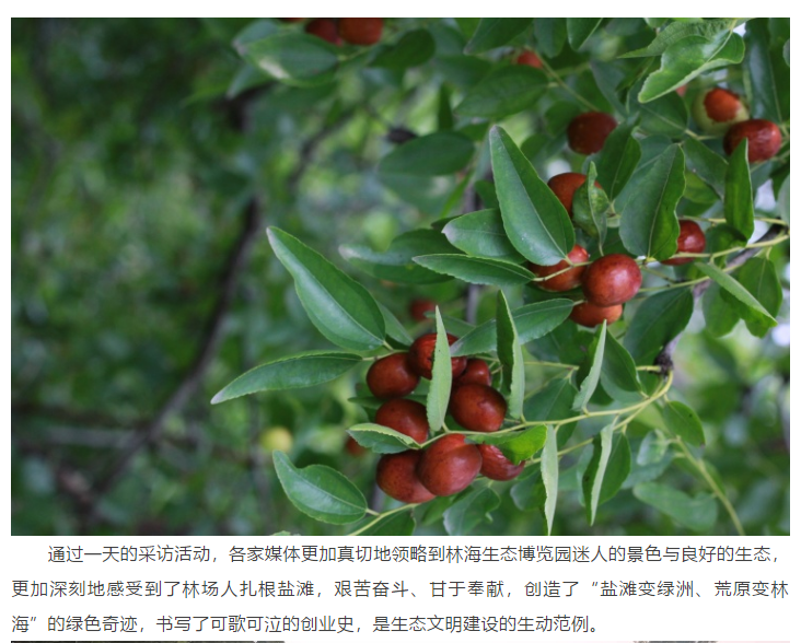 ���ֹ���F66��(�й���)�ٷ���վ