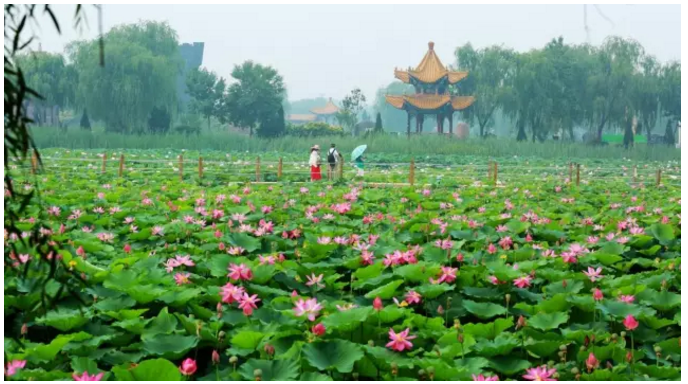 ���ֹ���F66��(�й���)�ٷ���վ