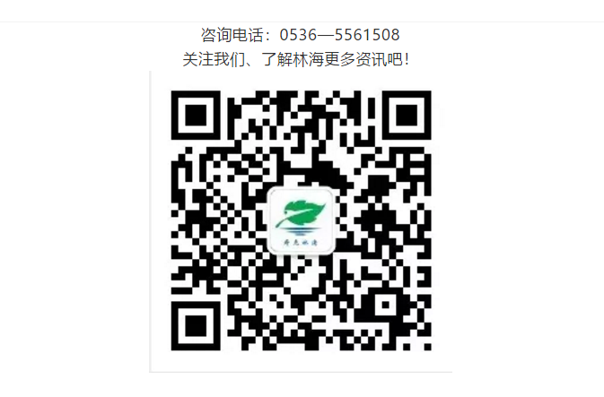 ���ֹ���F66��(�й���)�ٷ���վ